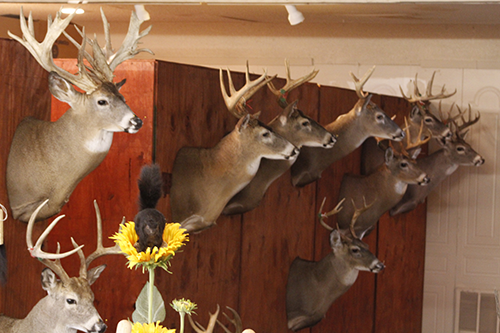 Heads on the wall