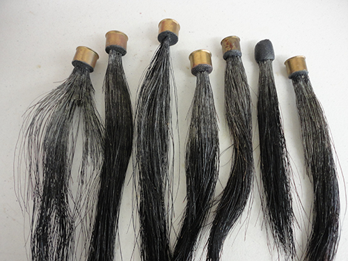 Turkey Beards