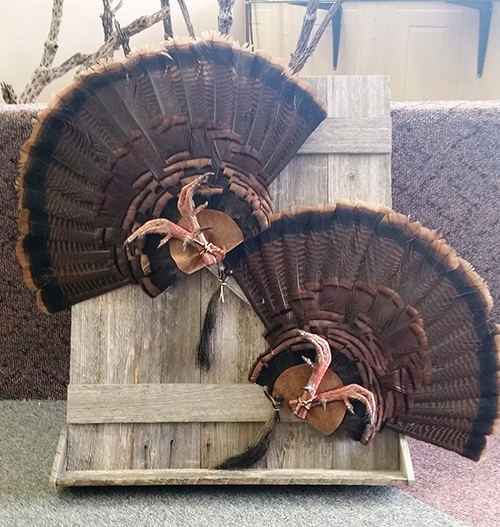Bird mounts