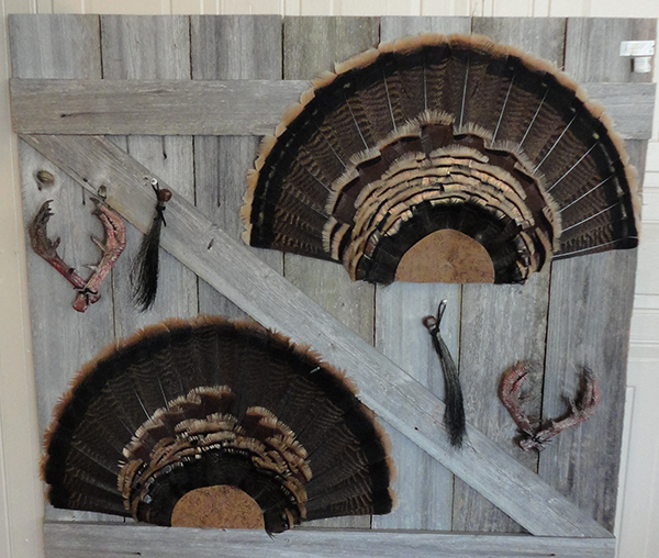Bird mounts