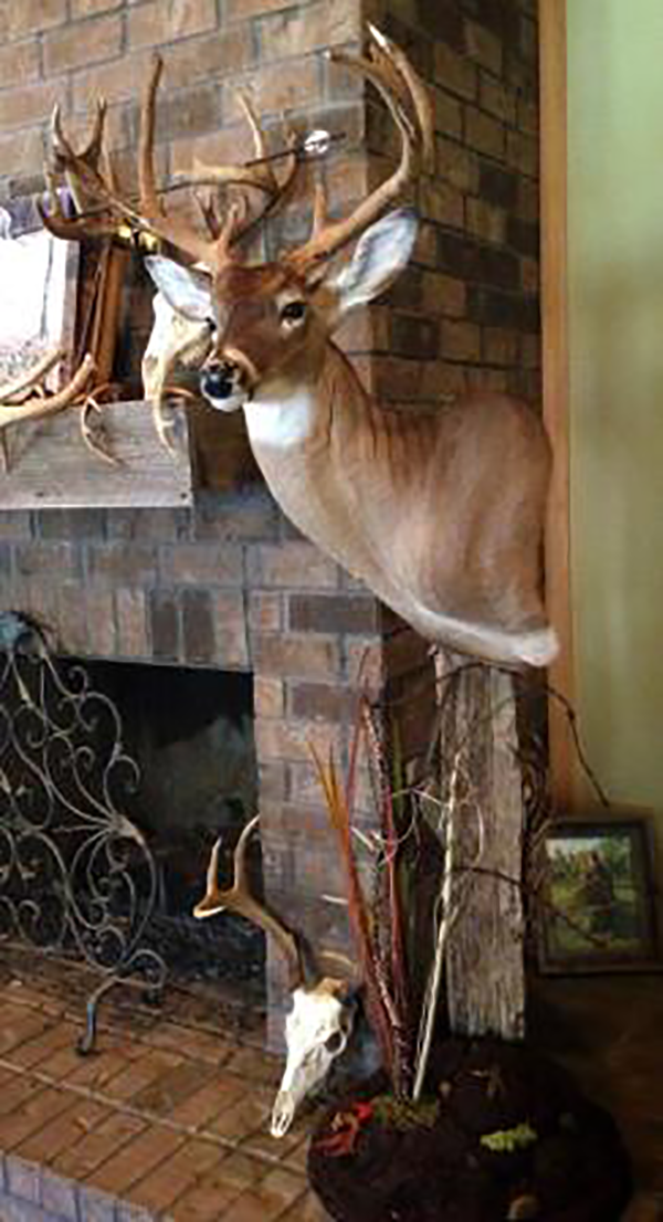Deer mount