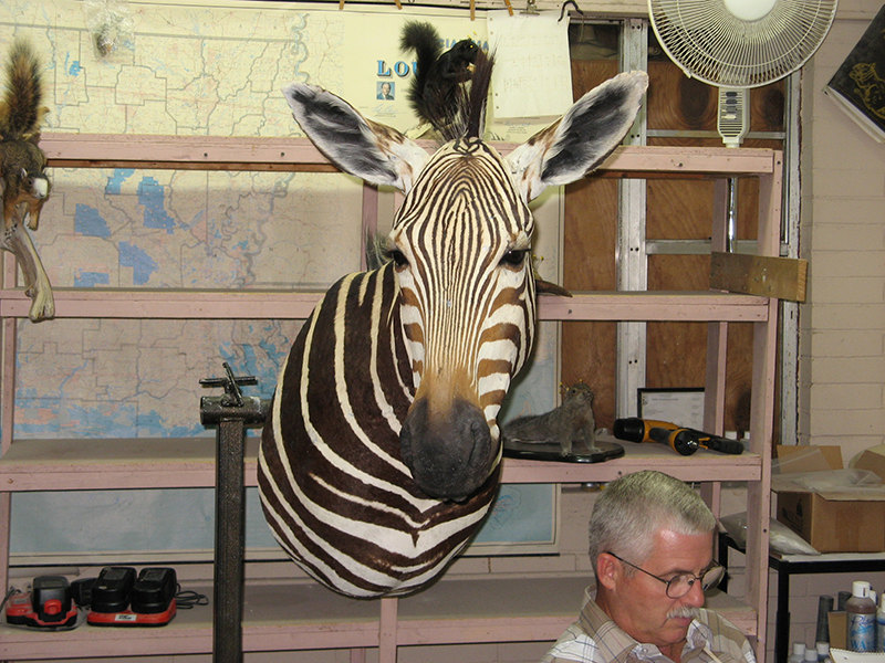 Exotic mount
