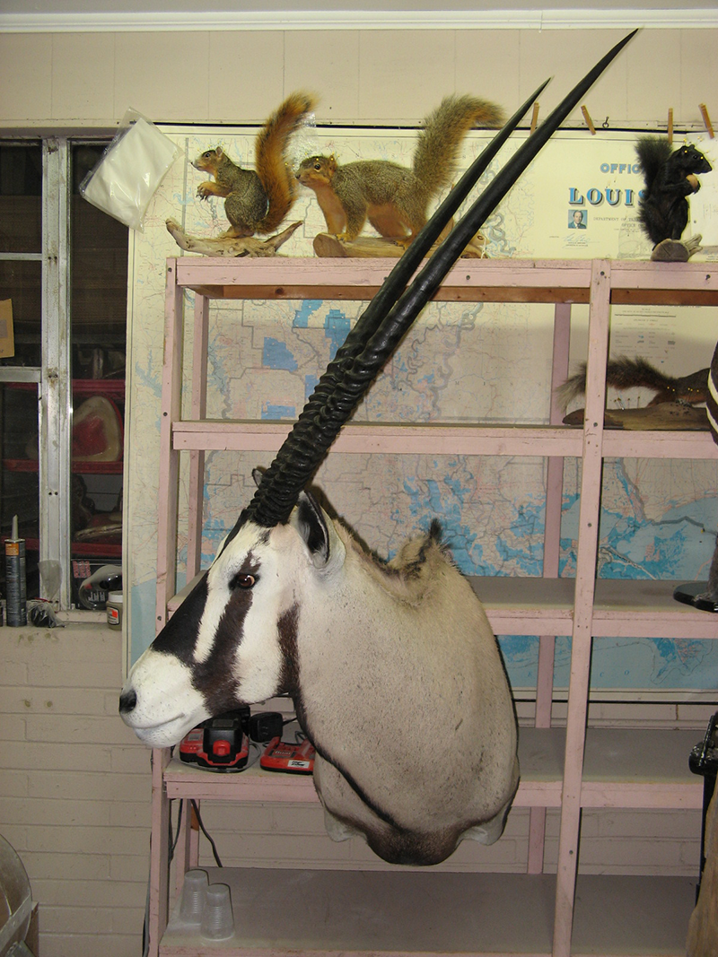 Exotic mount