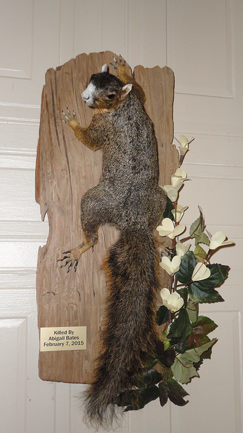 Squirrel mounts