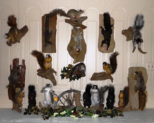 Squirrel mounts
