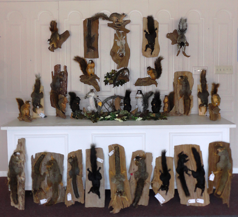 Heads on the wall